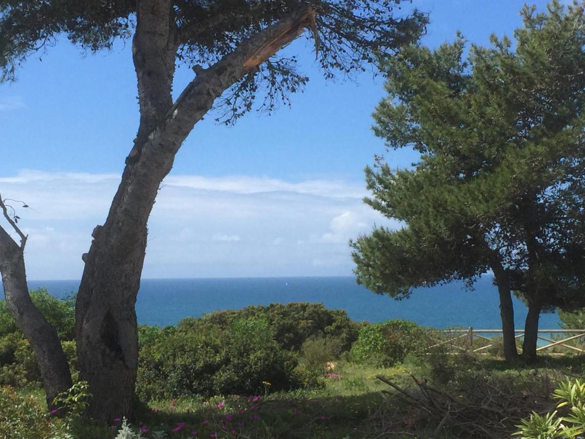 Appartement Carvoeiro Sol Seafront Extérieur photo